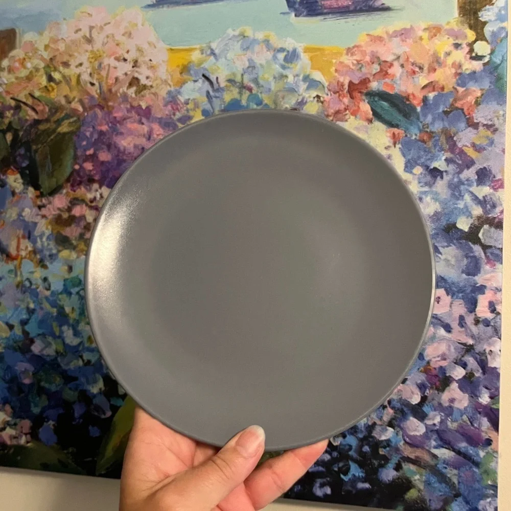 IKEA Slate Gray Salad 8” Plates Set of 4